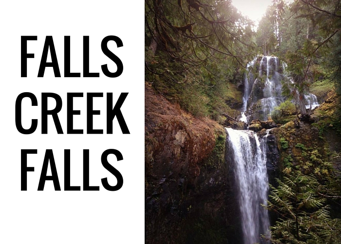 5 Best Portland Area Hikes with Kids - Paper Trail Design