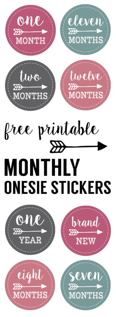 Baby Girl Monthly Onesie Stickers Free Printable - Paper Trail Design