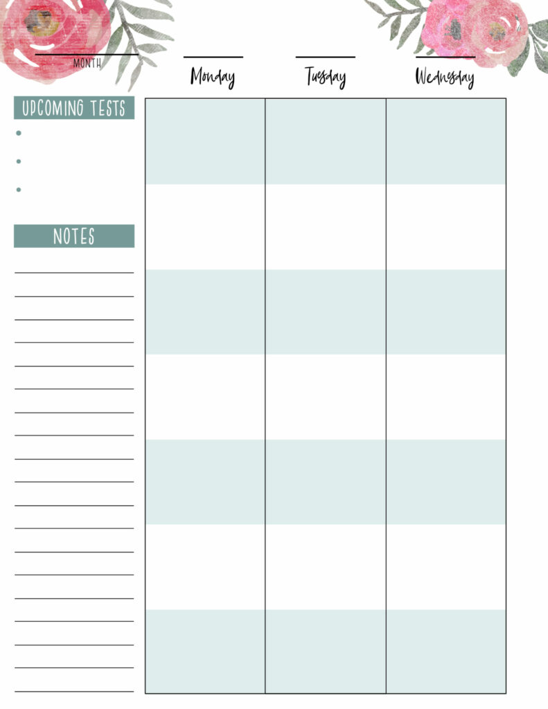 Free Printable Happy Planner Student Pages - Paper Trail Design