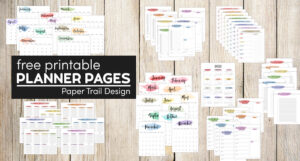 2023 Printable Calendar - Watercolor - Paper Trail Design